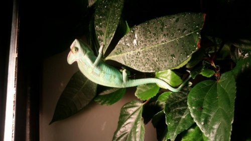 20150619_150723.jpg