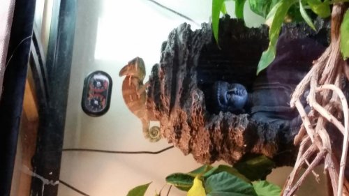 20150705_144928.jpg