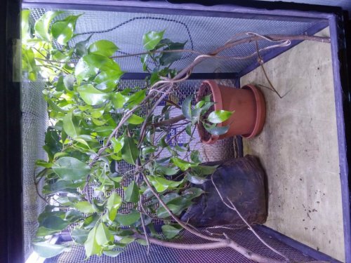 20150716_192256_HDR.jpg