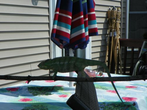 100_0766.jpg