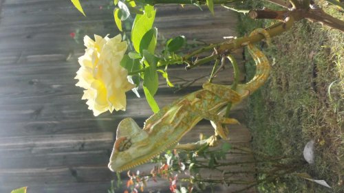 Scoggs 7 days ago.jpg