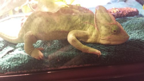 20150718_173405.jpg