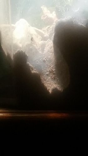20150719_224440.jpg