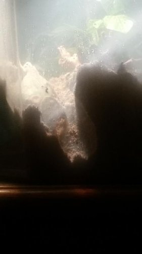20150719_224447.jpg