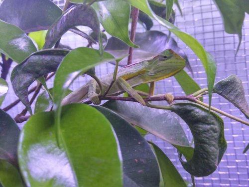 20150721_181630_HDR.jpg