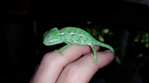 20150630_072123.jpg