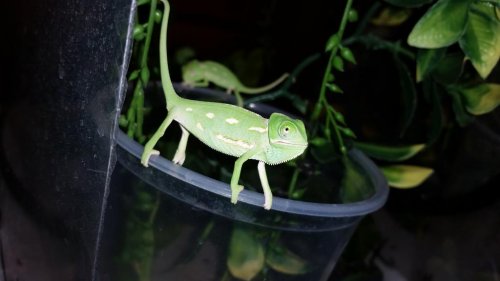 20150624_070312.jpg