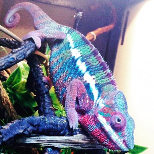 Spike20_5 mos.jpg