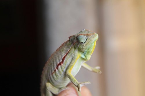 IMG_3980.jpg