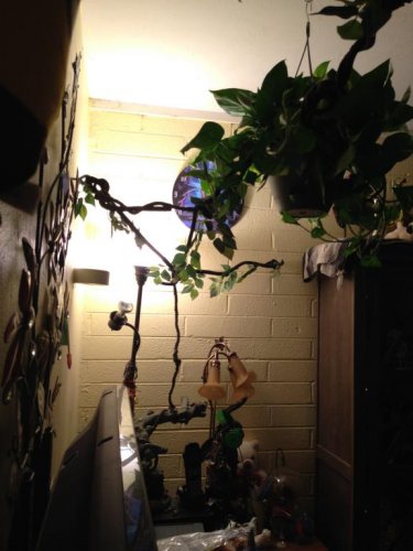 Chevy Office Free Range 1.jpg