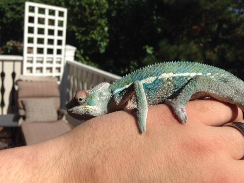 5 months outside.jpg