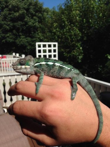 5 months outside2.jpg