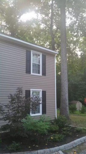 front yard.jpg