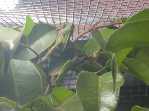 20150804_180433_HDR.jpg