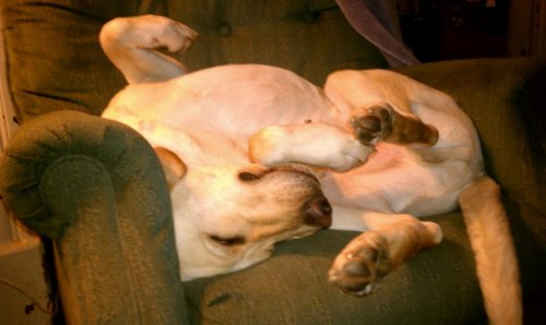 IMAG0009.jpg