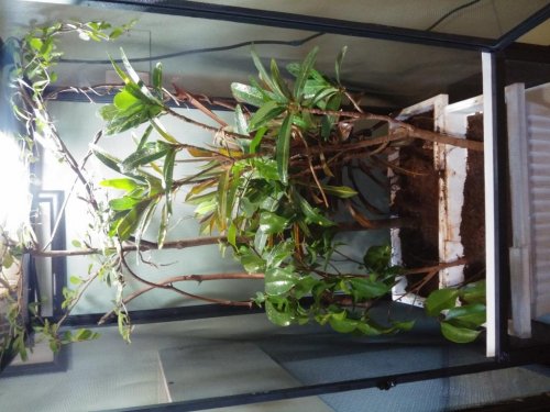 20150809_185125_HDR.jpg