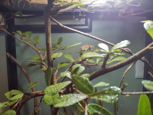 20150809_185137_HDR.jpg