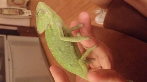 20150806_205318.jpg