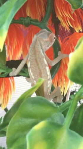 2015-08-05 12.21.02.jpg