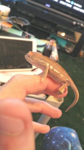 2015-07-29 21.37.56.jpg