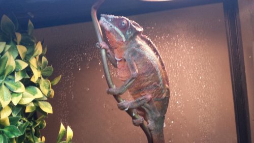 20150811_134043.jpg