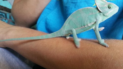 20150811_132331.jpg
