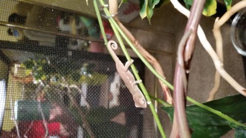 20150815_203044.jpg