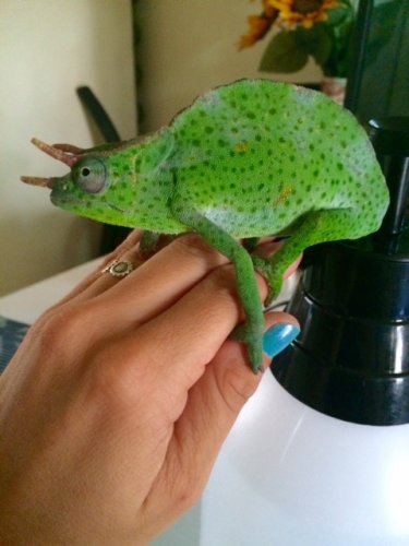 FullSizeRender 3.jpg