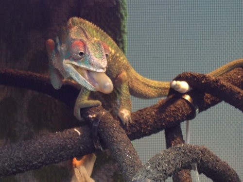 5 months shooting.jpg