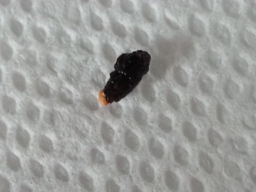 20150824_144045.jpg