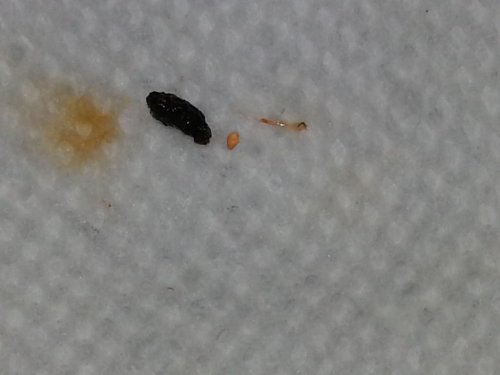 20150824_144933.jpg