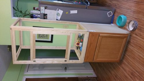 20150825_162146.jpg