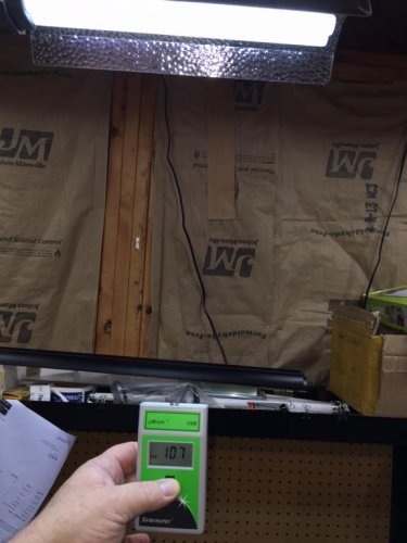 flood at 18 - UV 107.jpg