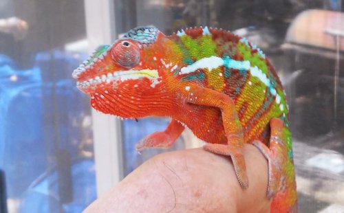 20150824_131953 (2).jpg