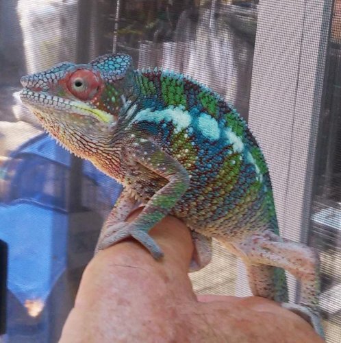 20150824_132636 (2).jpg