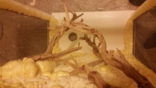 20150831_222138.jpg