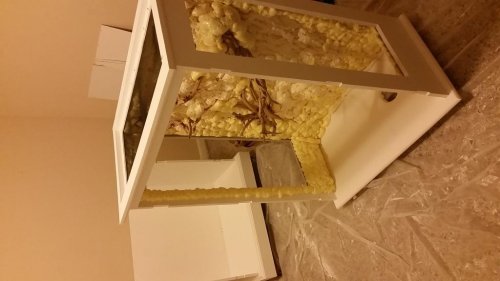 20150831_222214.jpg