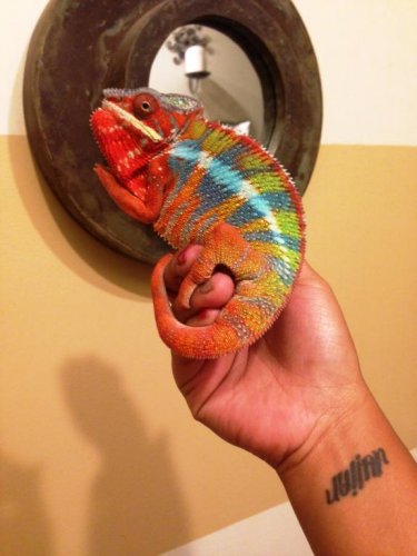 Spike03_7 mos.jpg