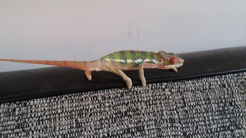 20150906_174825.jpg