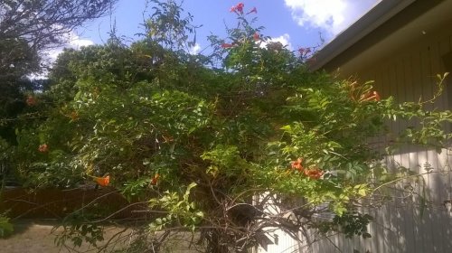 WP_20150908_16_22_04_Pro.jpg