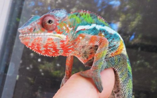 20150824_132401 (2).jpg