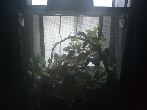 WIN_20150911_090241.jpg