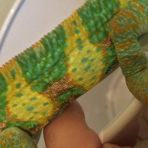 pattern.jpg pattern.jpg