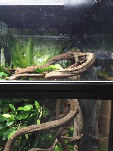 Photo Sep 15, 6 40 05 AM.jpg