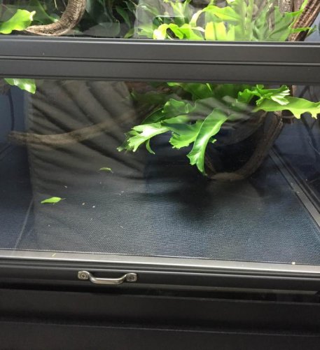 Photo Sep 15, 6 40 24 AM.jpg