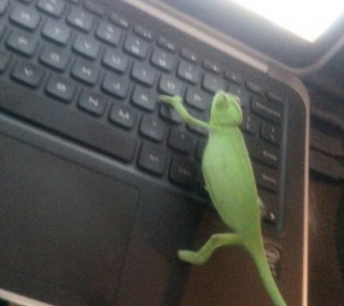 2015-09-22 12.38.43.jpg