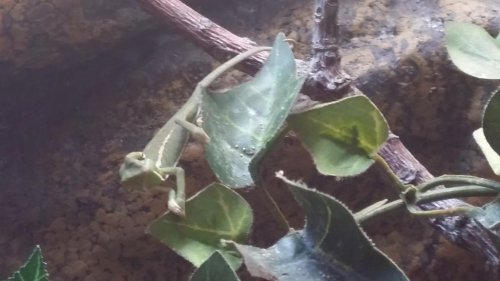 20150925_145738.jpg