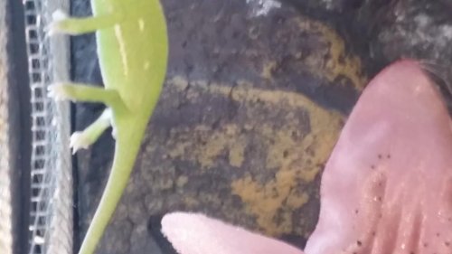 20150925_174640.jpg