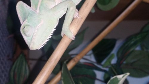 20150926_171745.jpg