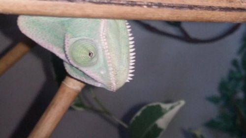 20150926_171629.jpg